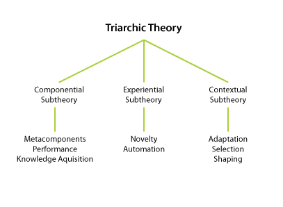 triarchic-theory